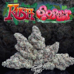 Jungle Boys Kush Sorbet