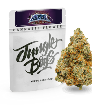 Jungle Boys Hellraiser