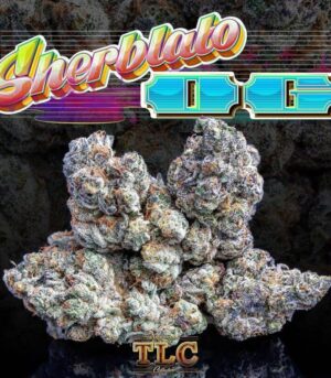 Jungle boys Sherblato OG
