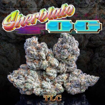 Jungle boys Sherblato OG