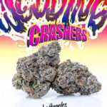 Jungle boys | wedding crashers - 3.5g Flower