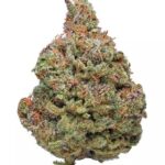 Afghan Kush