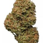 Amnesia Haze
