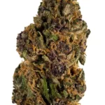 Forbidden Fruit Strain
