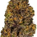 Grand Daddy Purple Strain