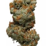 Grapefruit