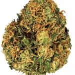 Green Crack