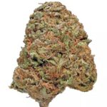 Maui Waui