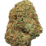 Northern Lights Strain