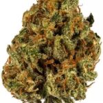 Super Lemon Haze