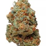 Vanilla Kush