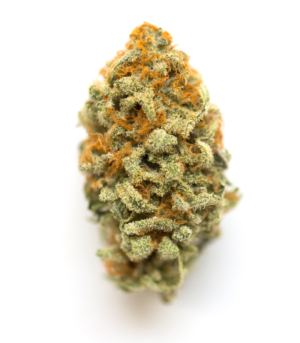 Banana Hammock Strain