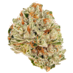 Devils Lettuce Strain