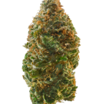 Point Break Strain