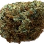 Ripkitty Peaches & Cream CBD Flower 3.5G