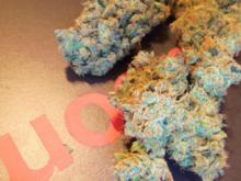 Organic White Russian