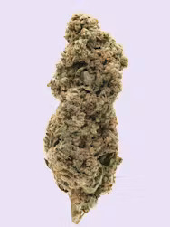Buy Ice Cream Cake Strain 3.5G Online